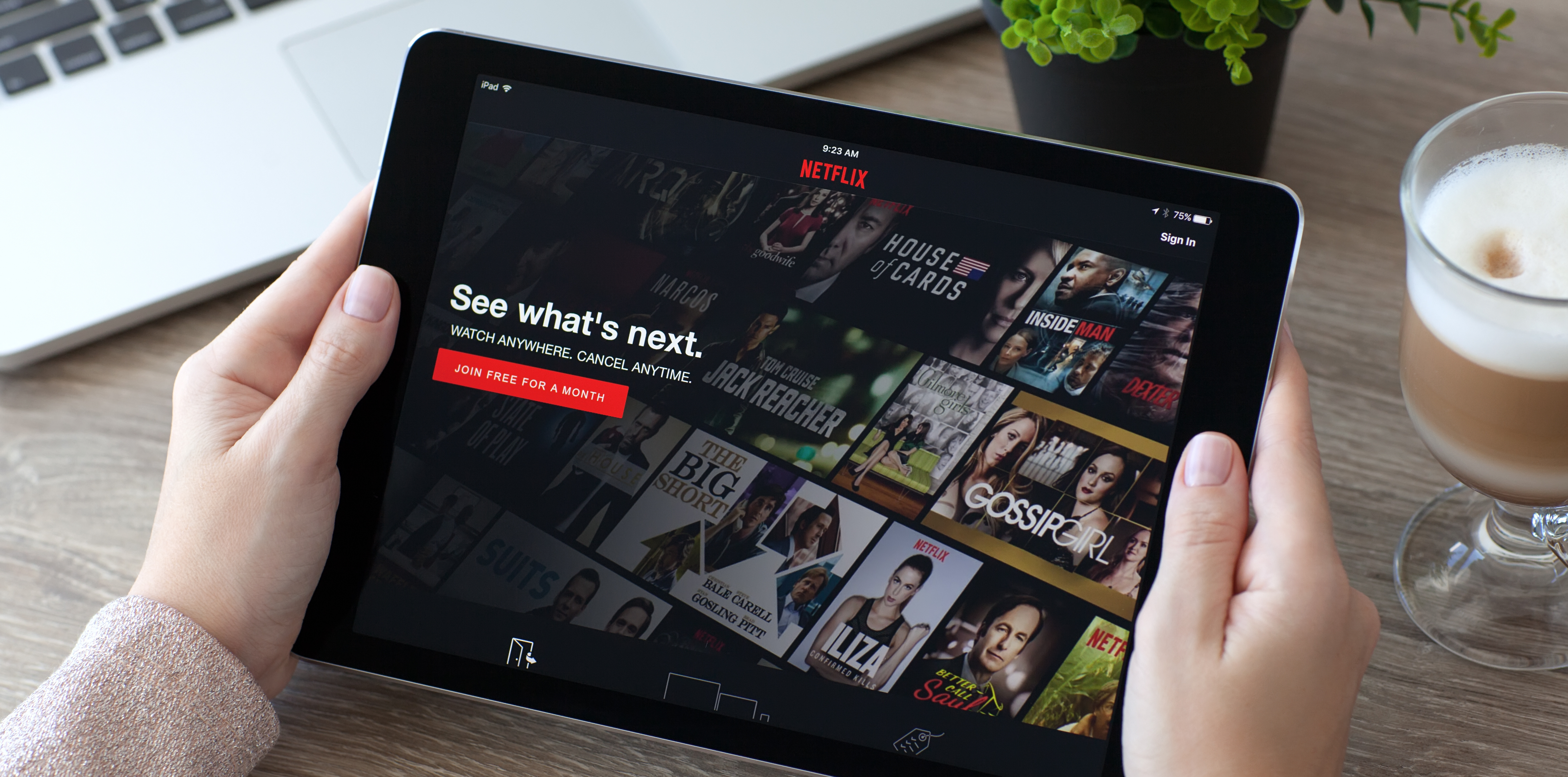Download Netflix For Offline Viewing Mac